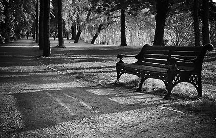lonely park bench